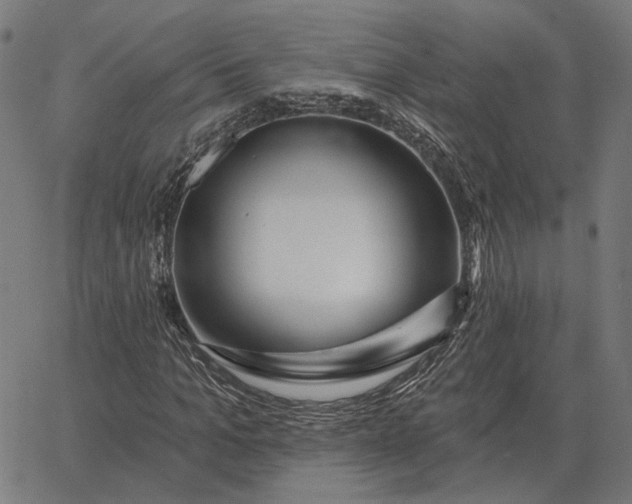 X0000065260965200603031824