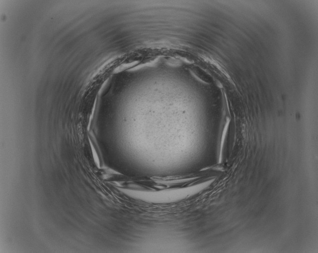 X0000065260968200603031824