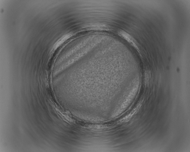 X0000065260970200603031824