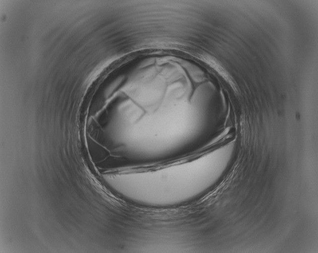 X0000065260972200603031824