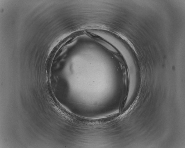 X0000065260973200603031824