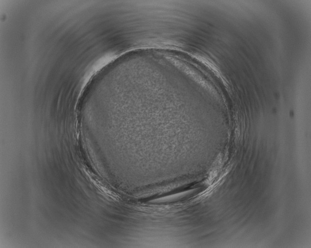 X0000065260974200603031824