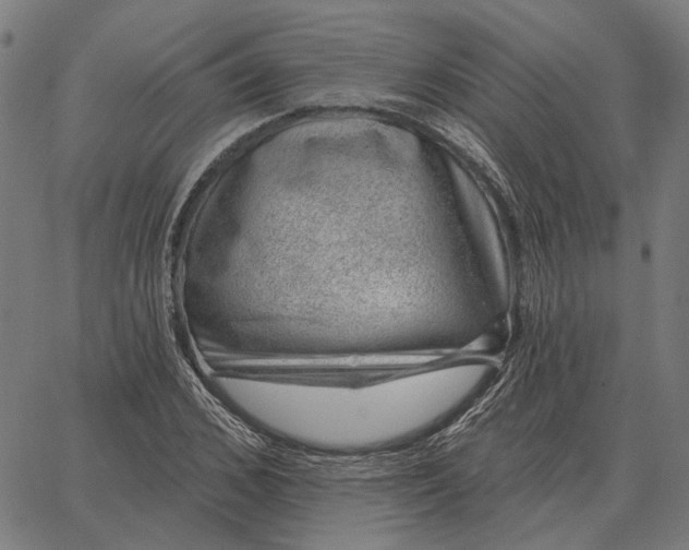 X0000065260976200603031824