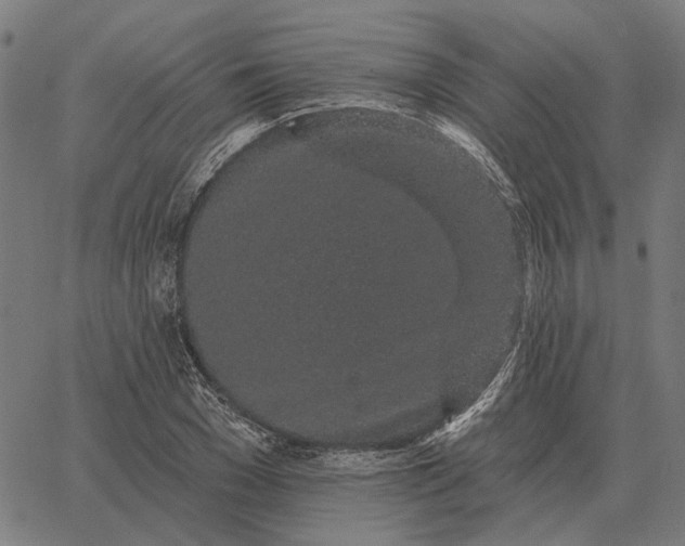 X0000065260977200603031824