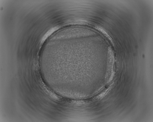 X0000065260978200603031824