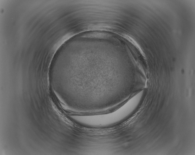 X0000065260980200603031824