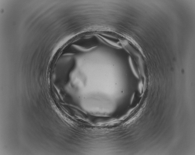 X0000065260981200603031824