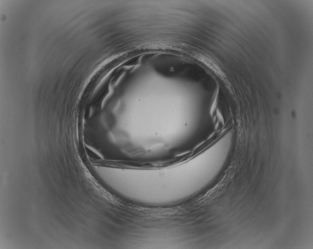 X0000065260984200603031824