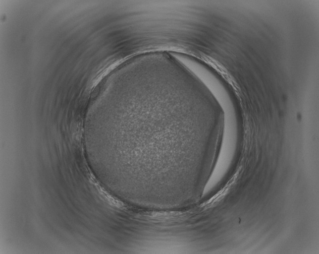 X0000065260985200603031824