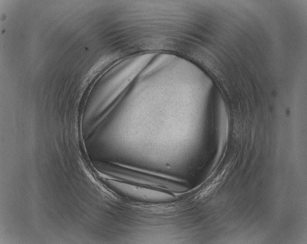 X0000065260986200603031824