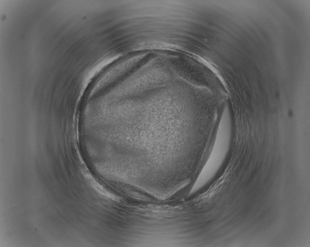 X0000065260987200603031824