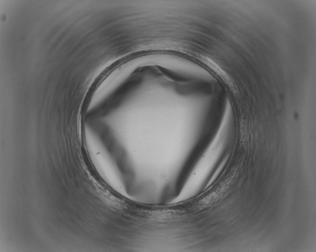 X0000065260988200603031824