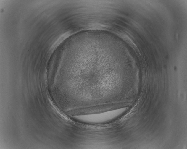 X0000065260990200603031824