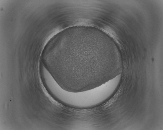 X0000065260991200603031824