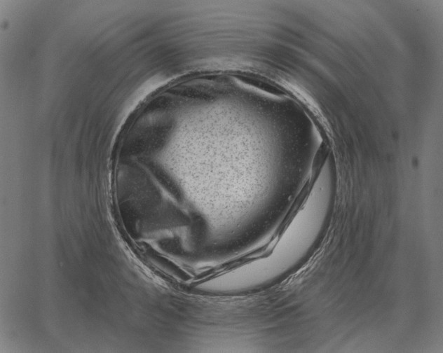 X0000065260992200603031824