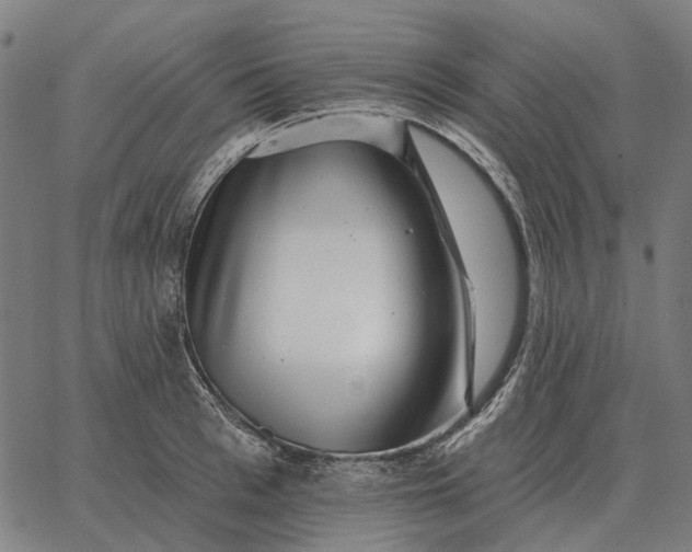 X0000065260993200603031824