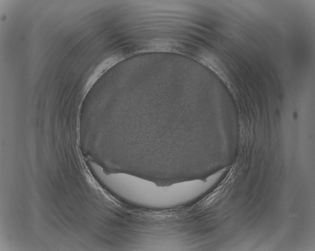 X0000065260994200603031824