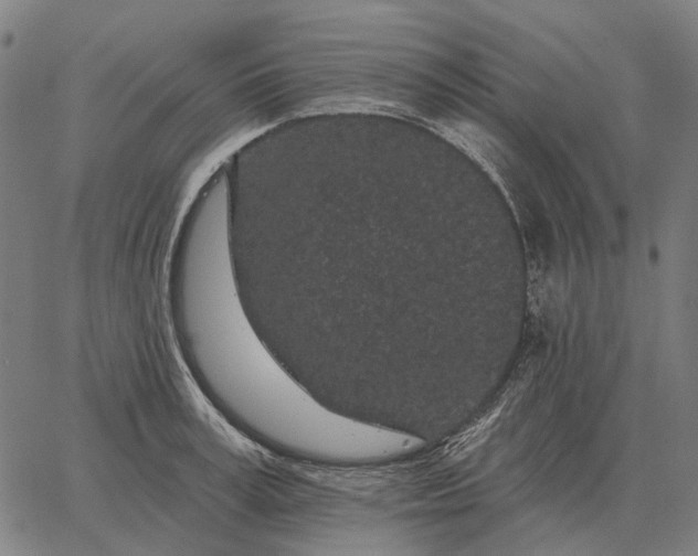 X0000065260995200603031824