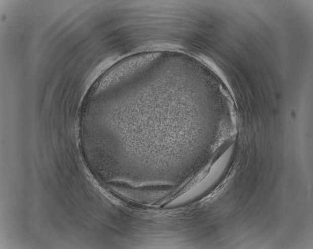 X0000065260997200603031824