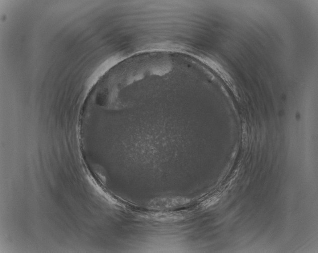 X0000065260998200603031824