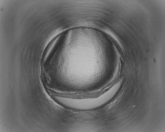 X0000065260999200603031824