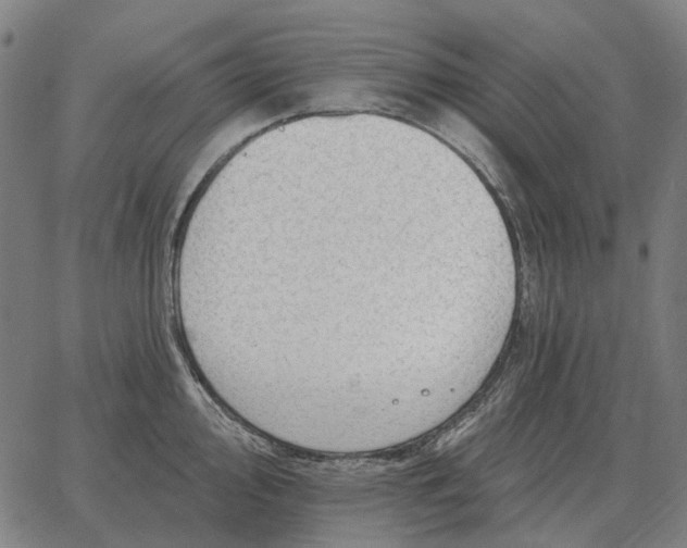 X0000065261000200603031824