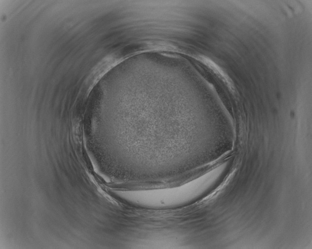 X0000065261001200603031824