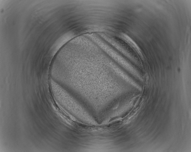 X0000065261002200603031824