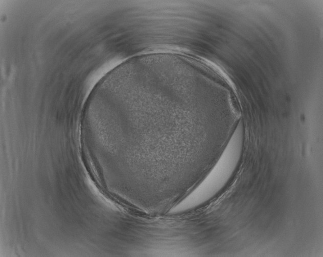 X0000065261003200603031824