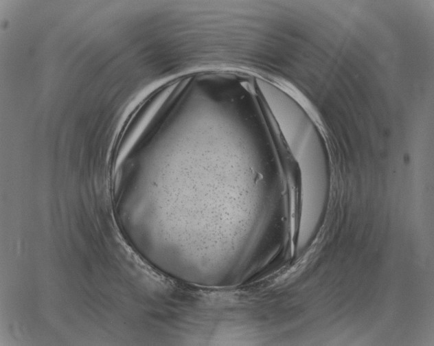 X0000065261004200603031824