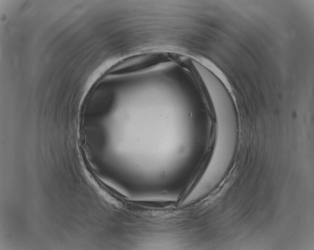 X0000065261005200603031824