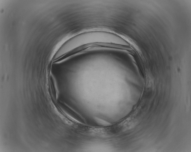 X0000065261006200603031824