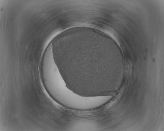 X0000065261007200603031824