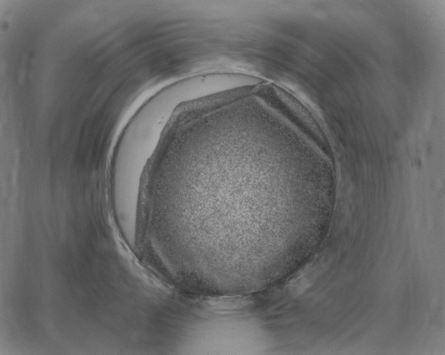 X0000065261008200603031824