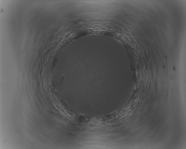 X0000065261009200603031823