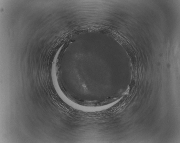 X0000065261010200603031823