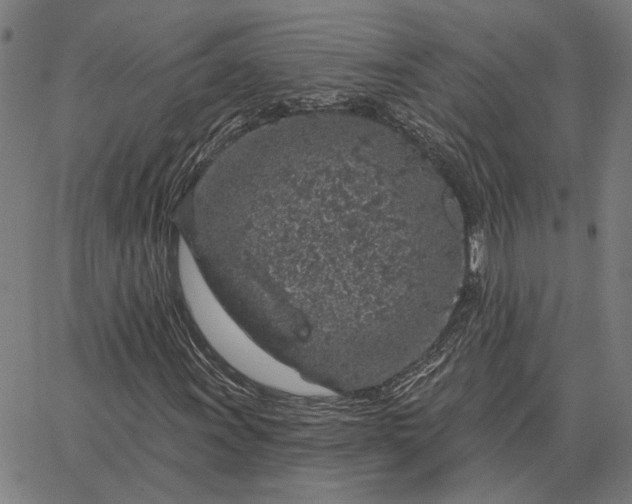 X0000065261011200603031823