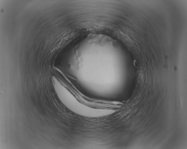 X0000065261012200603031823