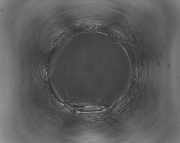 X0000065261013200603031823