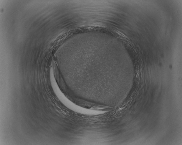 X0000065261014200603031823