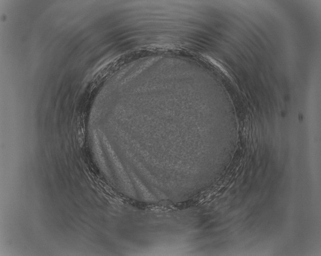 X0000065261015200603031823