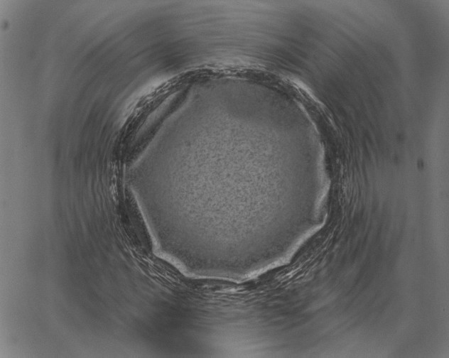 X0000065261016200603031823