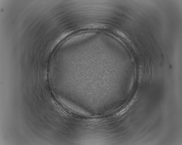 X0000065261017200603031823