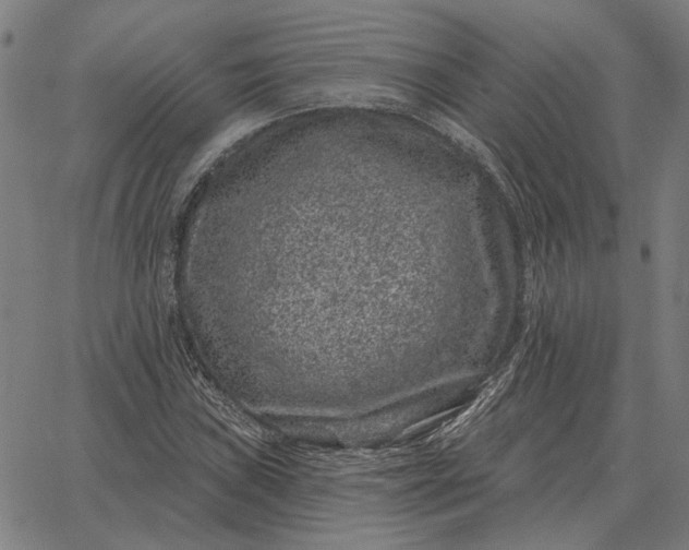 X0000065261019200603031823