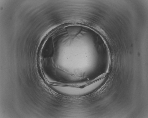 X0000065261020200603031823