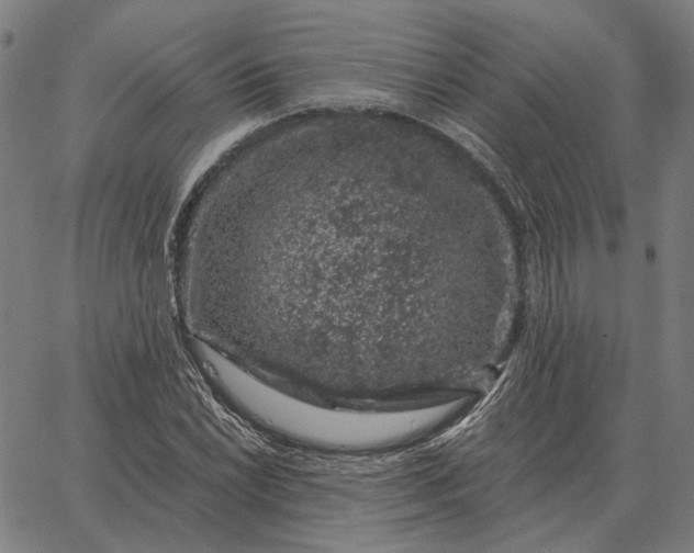 X0000065261022200603031823