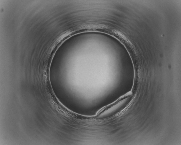 X0000065261025200603031823