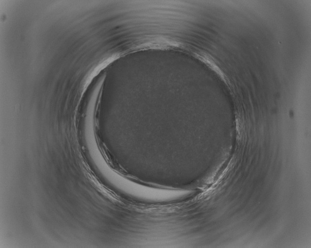 X0000065261026200603031823