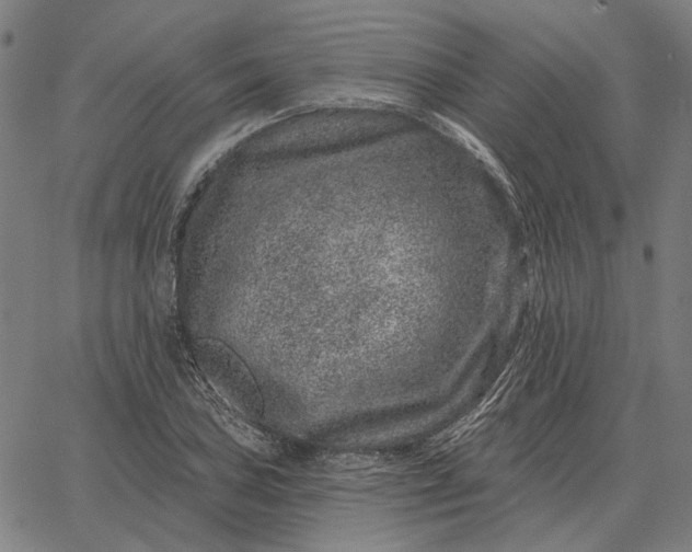 X0000065261027200603031823