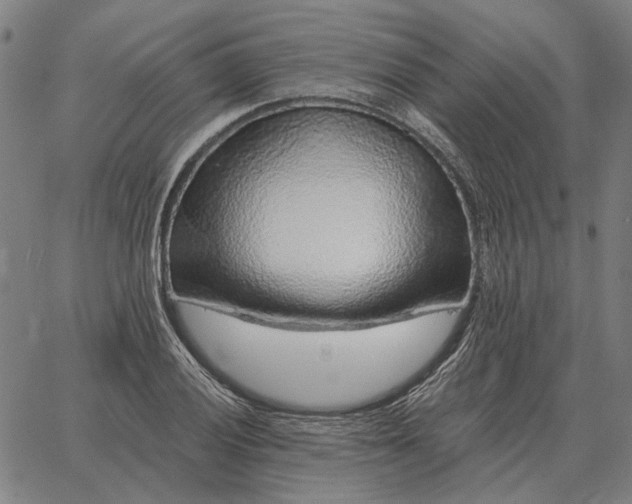 X0000065261028200603031823